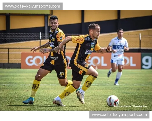 克鲁塞vs沙佩科：南美足球的恩怨情仇与凤凰涅槃